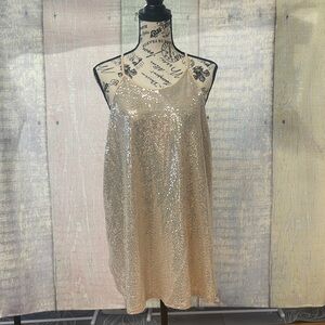 Real good condition woman’s Torrid sequin top. Torrid size 2.